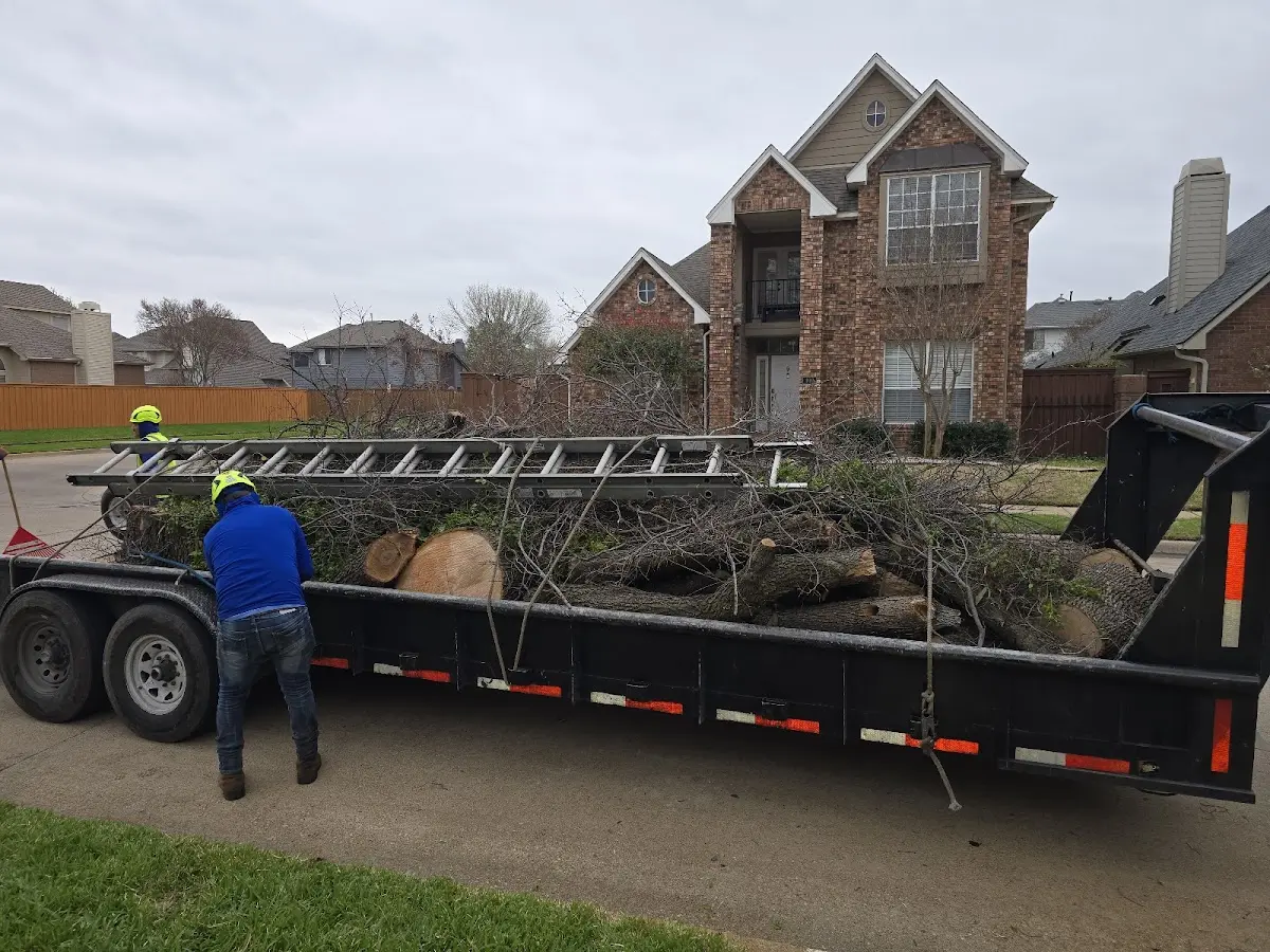 Expert Lot Clearing with proper safety equipment in Wortham